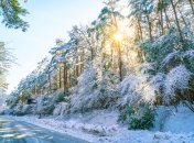 Яке сьогодні свято — Павлів день