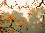 Синоптики дали прогноз на перший тиждень жовтня