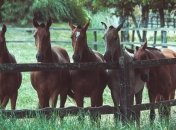 31 серпня - свято, що категорично заборонено робити, головні прикмети