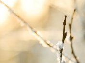 Прогноз погоды в Украине на сегодня: почти во всех областях солнечно