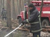 Пожары в Украине: чрезвычайники рассказали о ситуации 