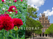 Черновцы — многогранный город