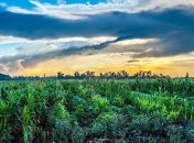 Процентная ставка на покупку земли будет существенно снижена