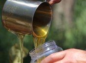 Медовый спас 2019: приметы и запреты праздника