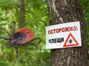 Как защититься от клещей и что делать при укусе: доступная инфографика