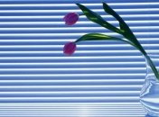 Все, что вы хотели знать о жалюзи