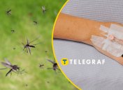 Цей кровопивця може вкласти на лікарняне ліжко