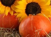 Как предотвратить преждевременное старение? 