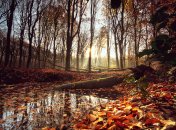 Яке сьогодні свято — Агафонів день