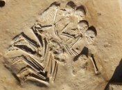 Раскрыта тайна раскопок в ОАЭ: найдено захоронение неизвестных поселенцев