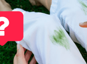 Пятна от травы на белых штанах вывести просто