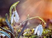 Холодно и ветрено: синоптики предупредили украинцев о погодных "сюрпризах"