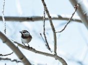 Какой праздник 14 января: народные приметы и запреты