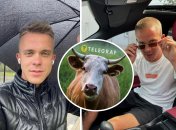 Путинист Кувшинов может поплатиться за то, что поглумился над коровой