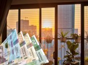 Что посадить дома, чтобы привлечь деньги