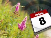 Какой праздник 8 июня: народные приметы и запреты