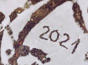 В чем встречать Новый 2021 год: советы астролога и идеи нарядов для каждого знака зодиака (фото)