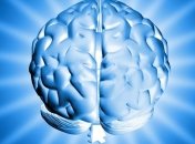 Ученые создали первую в мире 3D-модель мозга