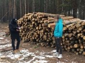 В Гослесагентстве ГБР и Генпрокуратура провели обыски