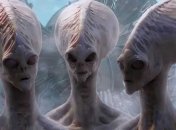 Ученые рассказали, когда будет найдена разумная жизнь на Земле 