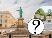 В Одессе заметили девушку с необычным любимцем