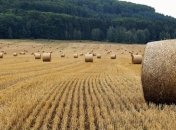 Приметы и обряды на 31 июля - День Емельяна