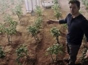 Ученые доказали, что можно выращивать овощи на Марсе