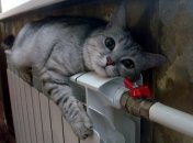 Сэкономить на коммуналке несложно: что советуют жители Польши