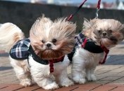 Синоптики объявили штормовое предупреждение в Украине