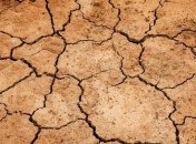 Засуха в Новой Зеландии провоцирует нехватку питьевой воды