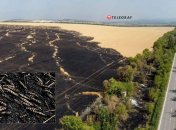 Наслідки пожеж