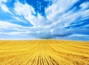 Опрос показал, как украинцы относятся к изменению территории Украины