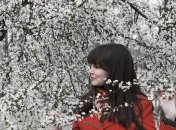 Какой сегодня праздник - День святых Дарьи и Хрисанфа Римских