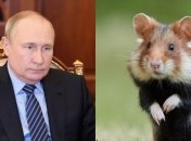 путин напомнил британскому журналисту грызуна