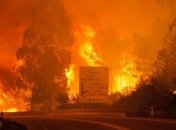 Лесные пожары в Португалии: количество жертв резко выросло
