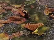 Синоптик назвала точную дату похолодания в Украине