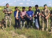 На Львовщине в подсолнухах нашли нелегалов 