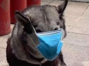 Експерти назвали способи, як уникнути зараження коронавірусом у літаку