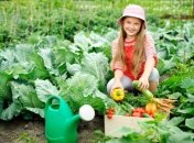 Лунный календарь огородника на июнь 2016 года: посадочный календадь