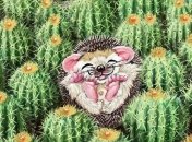 Душевные картины, на которых очаровательные зверушки наслаждаются жизнью (Фото)