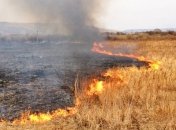 Синоптики предупреждают украинцев о высоком уровне пожарной опасности