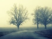 Советы водителям: управление автомобилем в туманную погоду