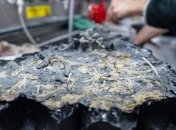 Отколотый кусок вулканической коры