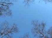 В Киев пришла метеорологическая весна