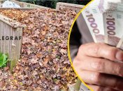 Весенняя привычка, которая может уничтожить природу
