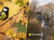 Заморозки и осадки, но не везде: каким регионам повезет с теплой погодой в эти выходные