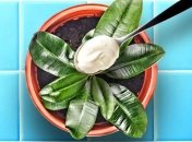 Майонез отличный помощник в поддержании здоровья растений