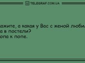 Этот прикол оценил даже слон: забавные анекдоты в этот вечер