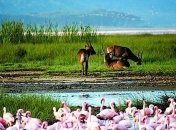 Идеальные места для твоего отдыха этим летом (Фото)