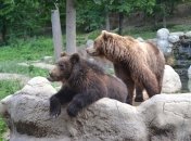 Новый зоопарк «XII Месяцев» – незабываемые впечатления на весь год